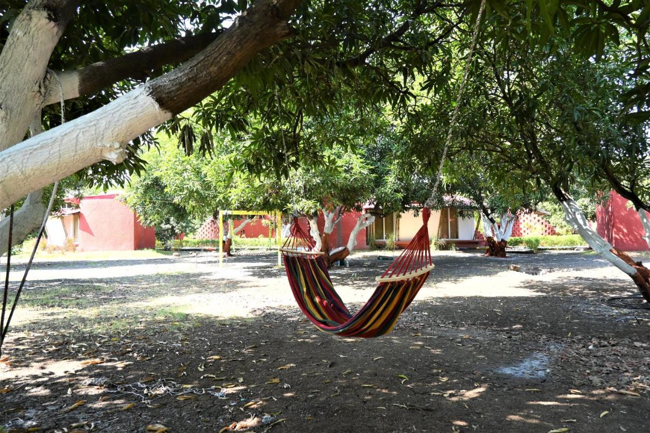 Amraness Luxury Resort Sasan Gir Exterior foto
